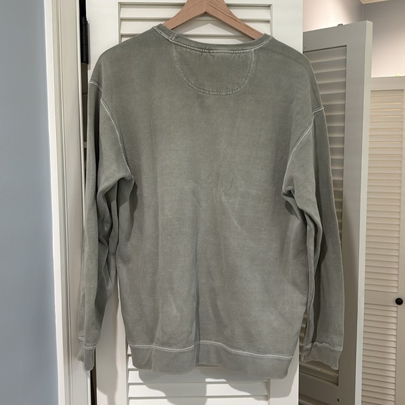 Delta Gamma Comfort Colors Sweatshirt - Picture 2 of 2